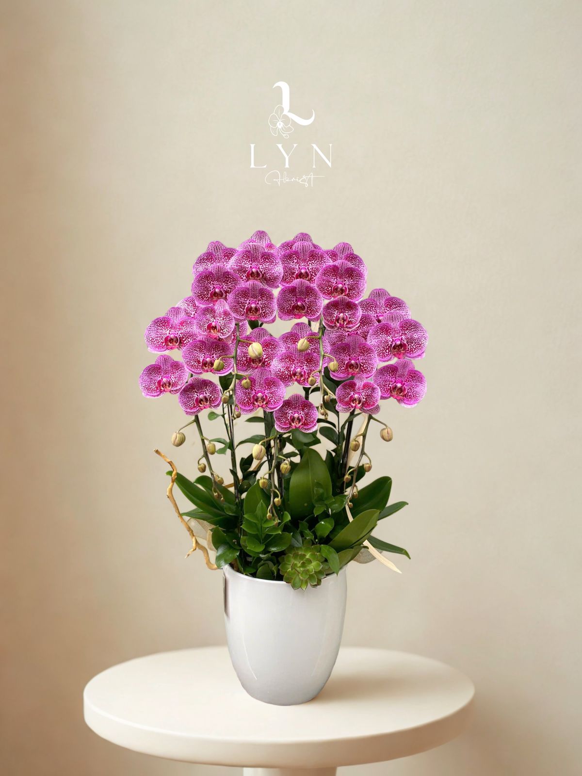 Chậu Hoa Lan Tím Mèo Đốm